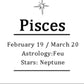 Zodiac Natural Crystal Box Set- Pisces